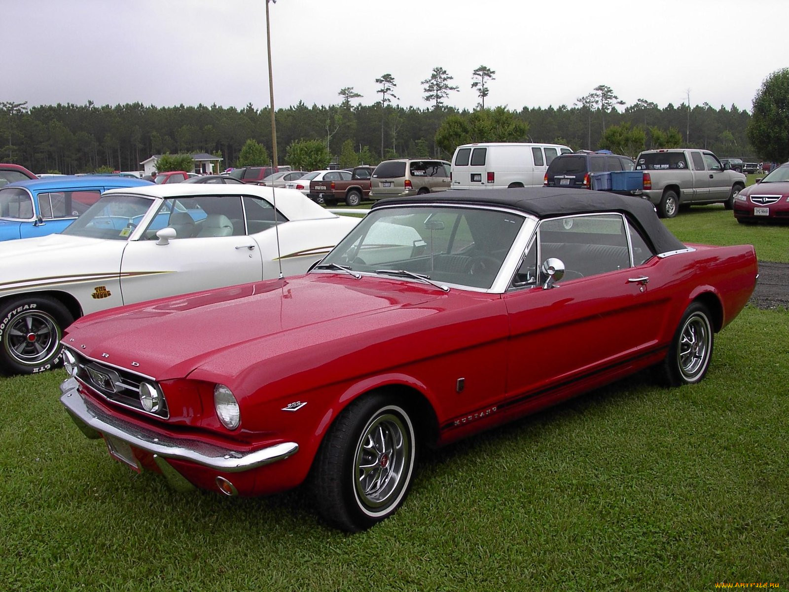 1965, ford, mustang, convertible, classic, 